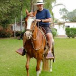 Pachacámac , Barranco y Show de Caballos de Paso10