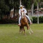 Pachacámac , Barranco y Show de Caballos de Paso11