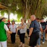 Pachacámac , Barranco y Show de Caballos de Paso12