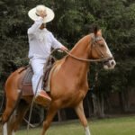 Pachacámac , Barranco y Show de Caballos de Paso9